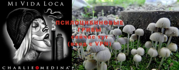 мескалин Гусь-Хрустальный