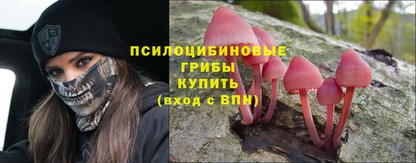 СК Гусиноозёрск